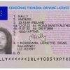 Buy Ireland Drivers License